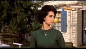 The Birds (1963)Suzanne Pleshette and green